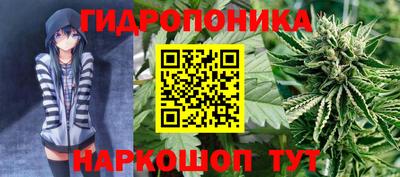 дурь Долгопрудный