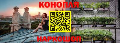 дурь Долгопрудный
