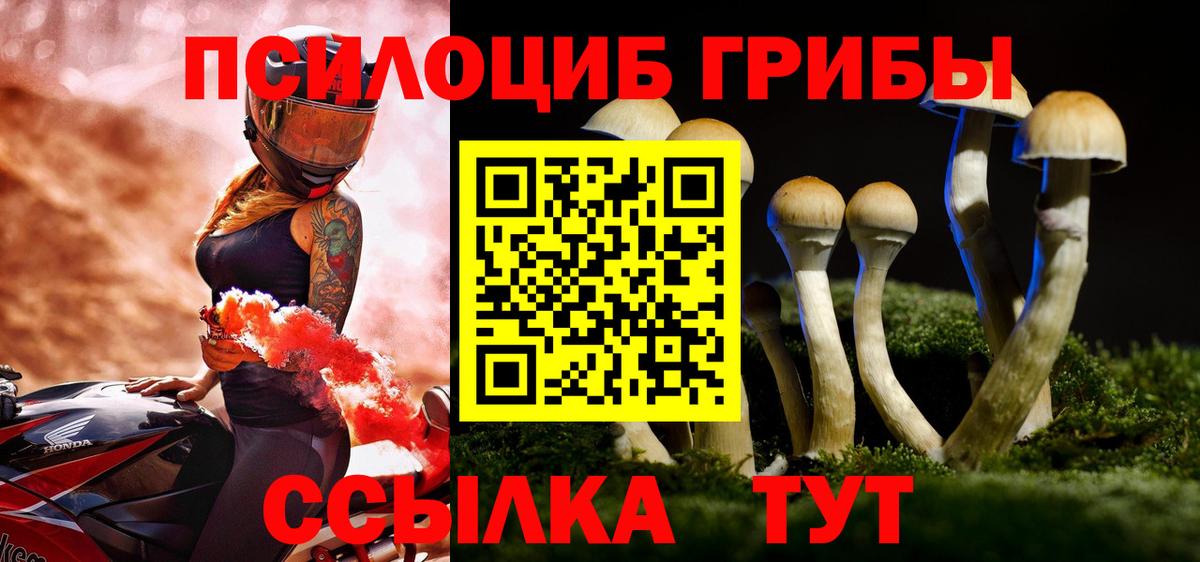 Псилоцибиновые грибы Magic Shrooms  Псилоцибиновые грибы MAGIC MUSHROOMS  Вышний Волочёк  Вход с VPN 