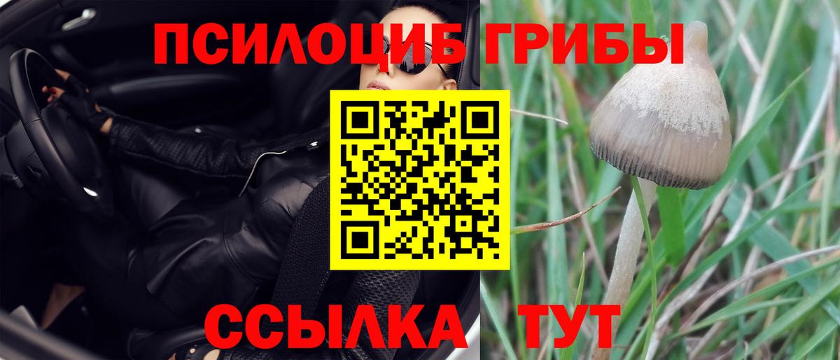 Псилоцибиновые грибы ЛСД Вышний Волочёк